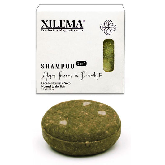 Xilema, Shampoo Sólido, Algas Frescas y Eucalipto, 80 g